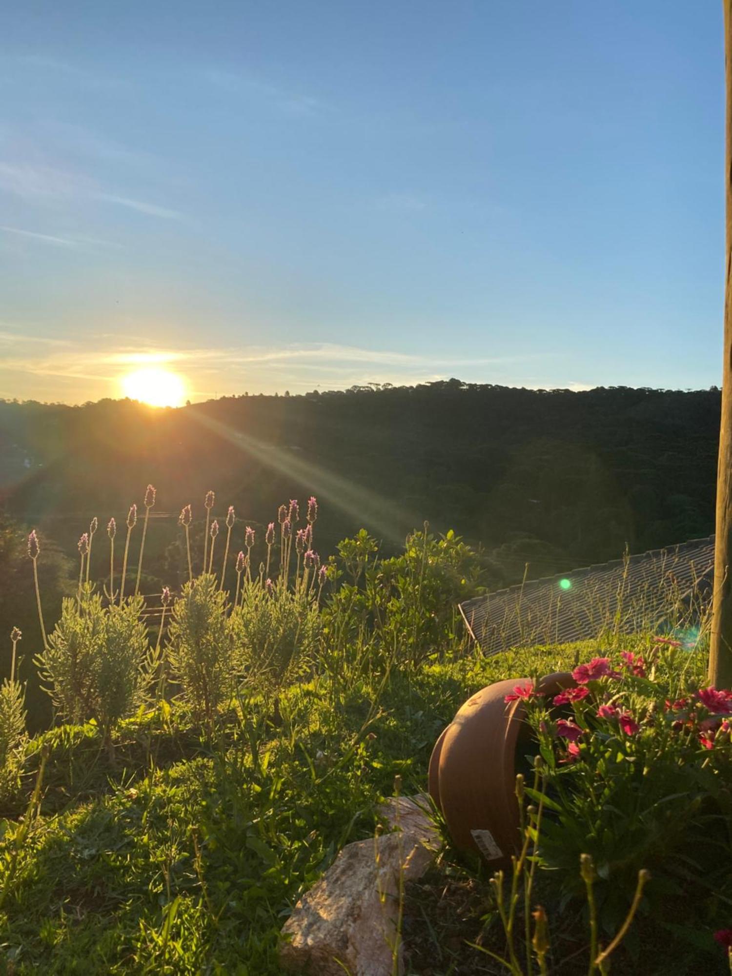 Casa Aconchegante Na Montanha Daire Campos do Jordao Dış mekan fotoğraf